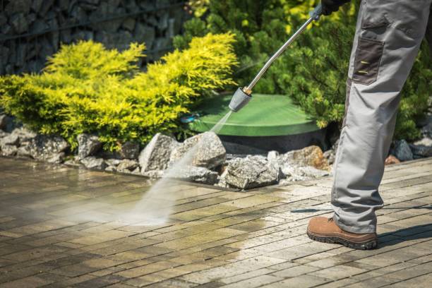 Best House Exterior Washing  in Pierre Part, LA