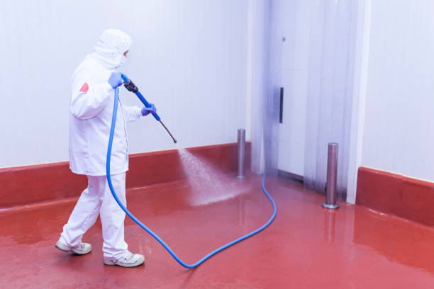 Best Dumpster Area Cleaning  in Pierre Part, LA